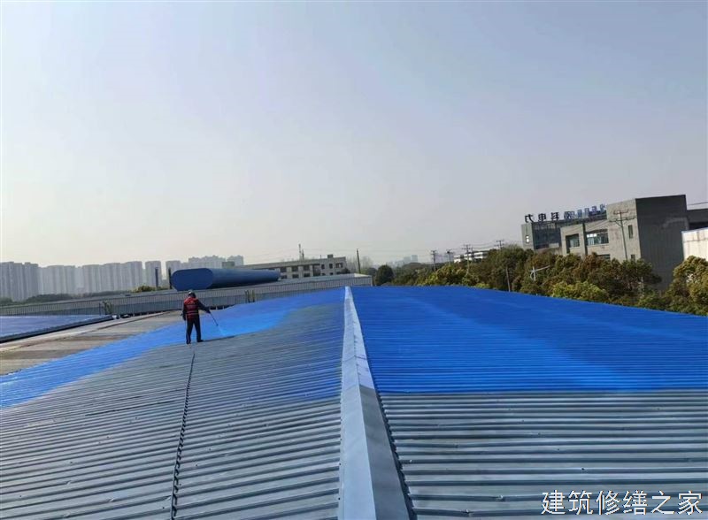 肇庆2026广宁县 金属屋面防腐 有没有正规资质